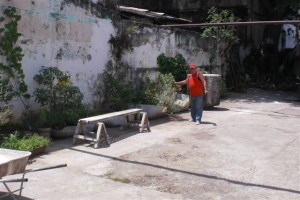 Comedor de abuelos y su huerto_2_Página_38